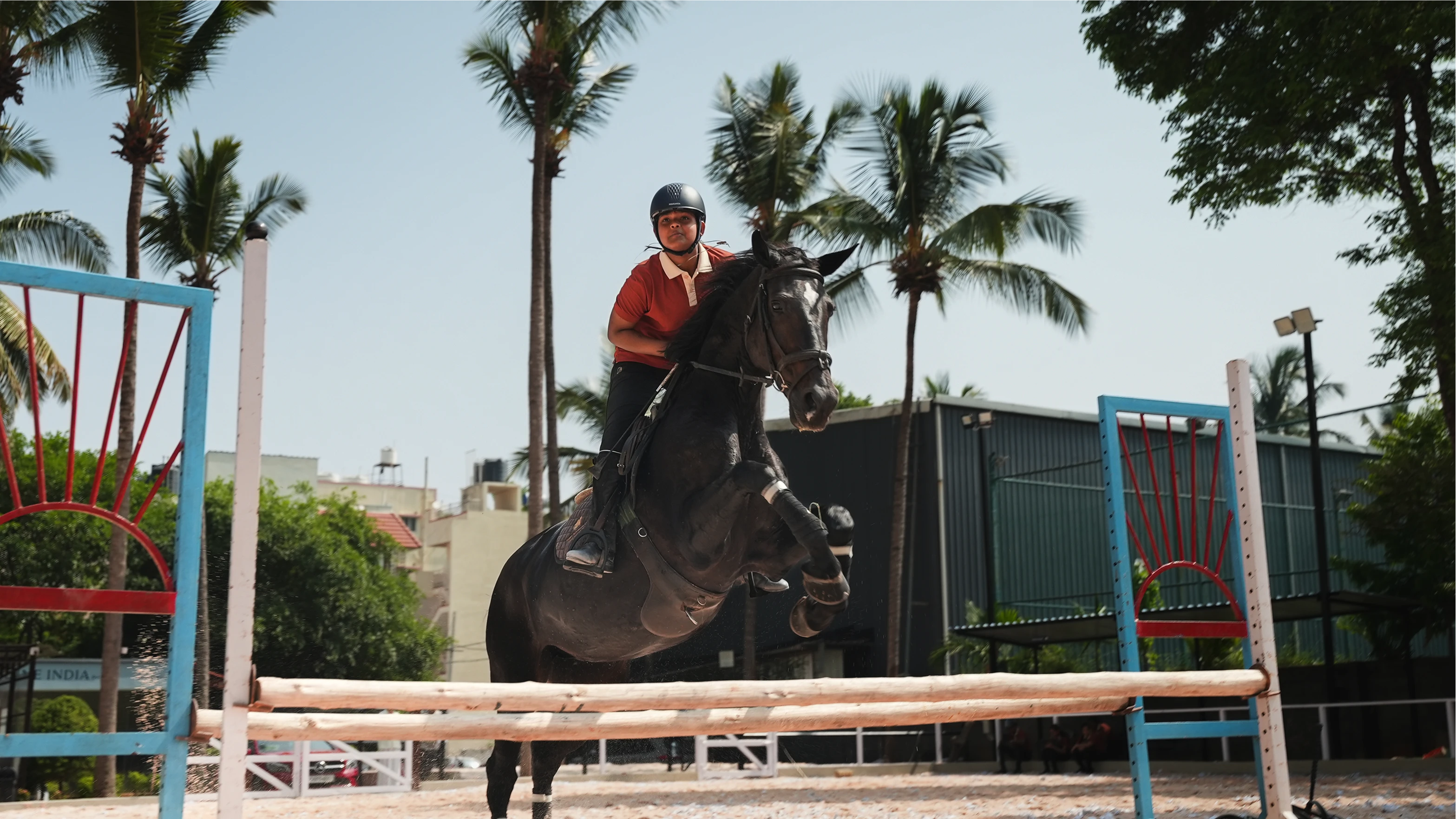 Development • Performance • Dressage • Showjumping