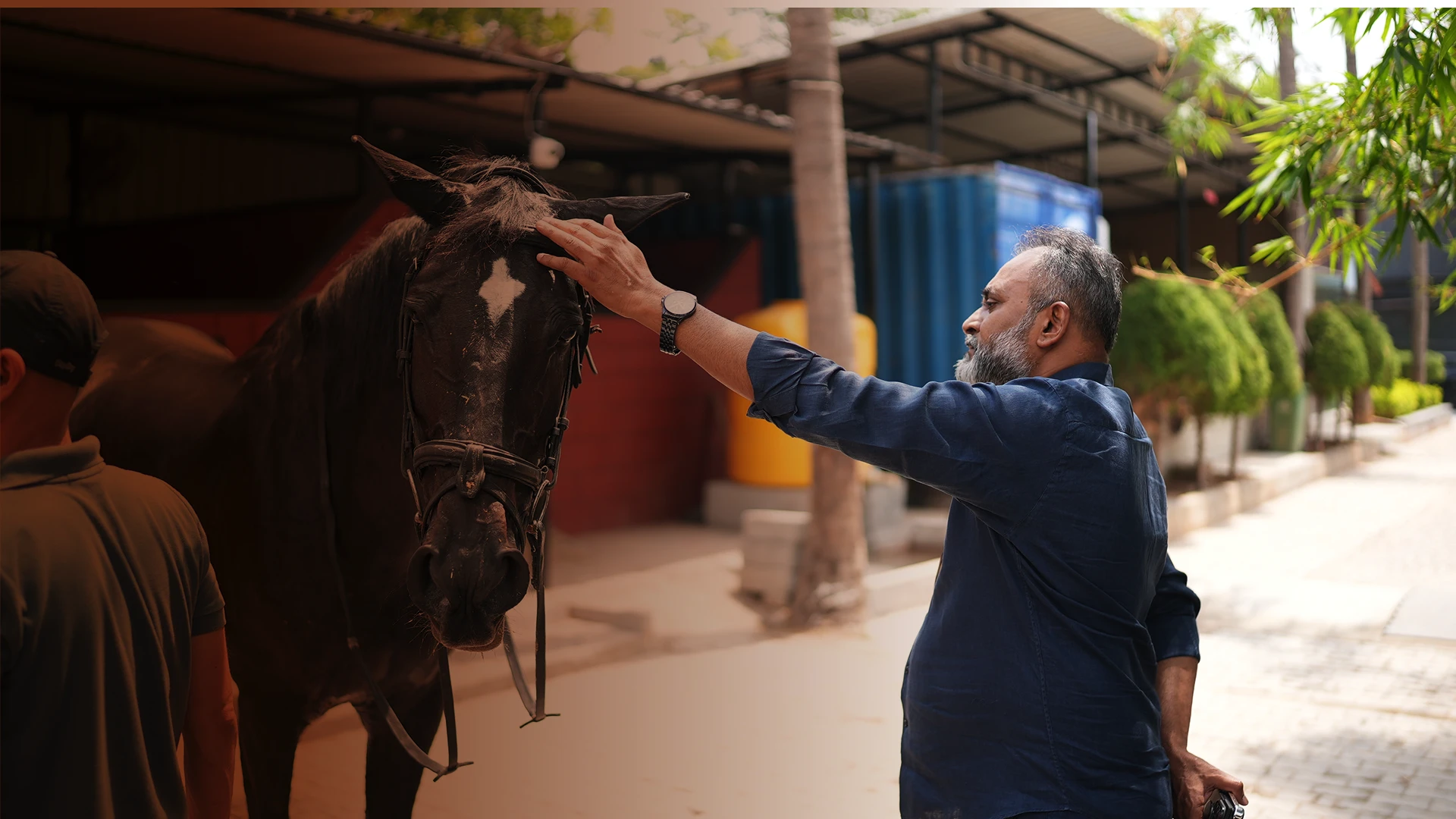 The Equestrian Center for All Seasons and All Reasons