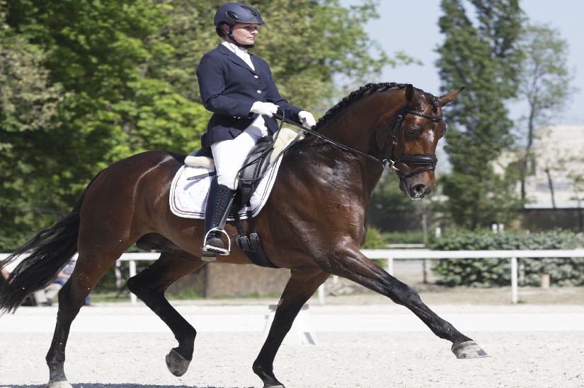 Dressage