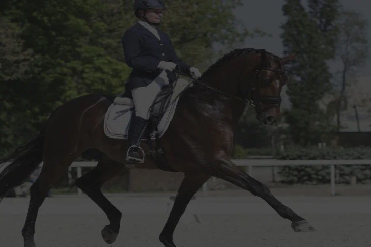 Dressage