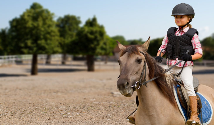 Adult Horse Training